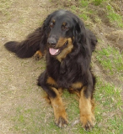 Alida beim Fotoshooting