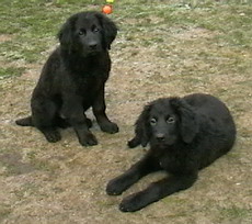 Feodor und Fionas