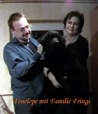 Fenelope