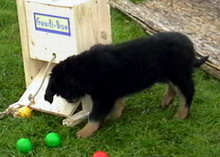 Fussel an der GaudiBox