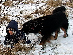 Jannis und Bellis Winter 2006